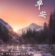 世界杯韩国跟德国赔率-世界杯韩国与德国对决,赔率的背后