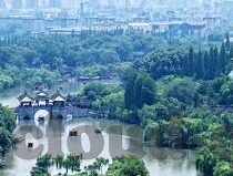 足球比分单关-足球比分单关，绿茵场上的精准博弈与智慧较量