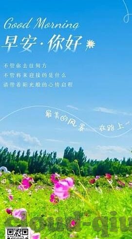 足球国安和辽宁比分-国安与辽宁激战，一场比分背后的战术博弈与情感交织
